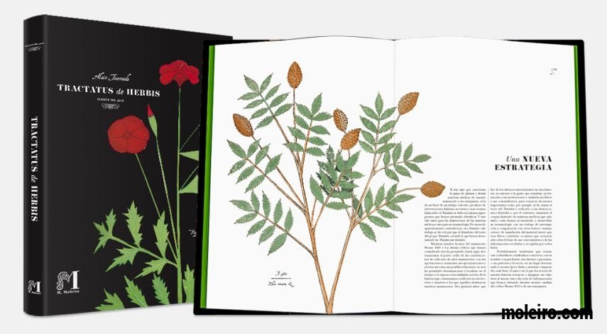 Tratado de plantas medicinales. Tractatus de Herbis - Sloane 4016 The British Library, Londres
