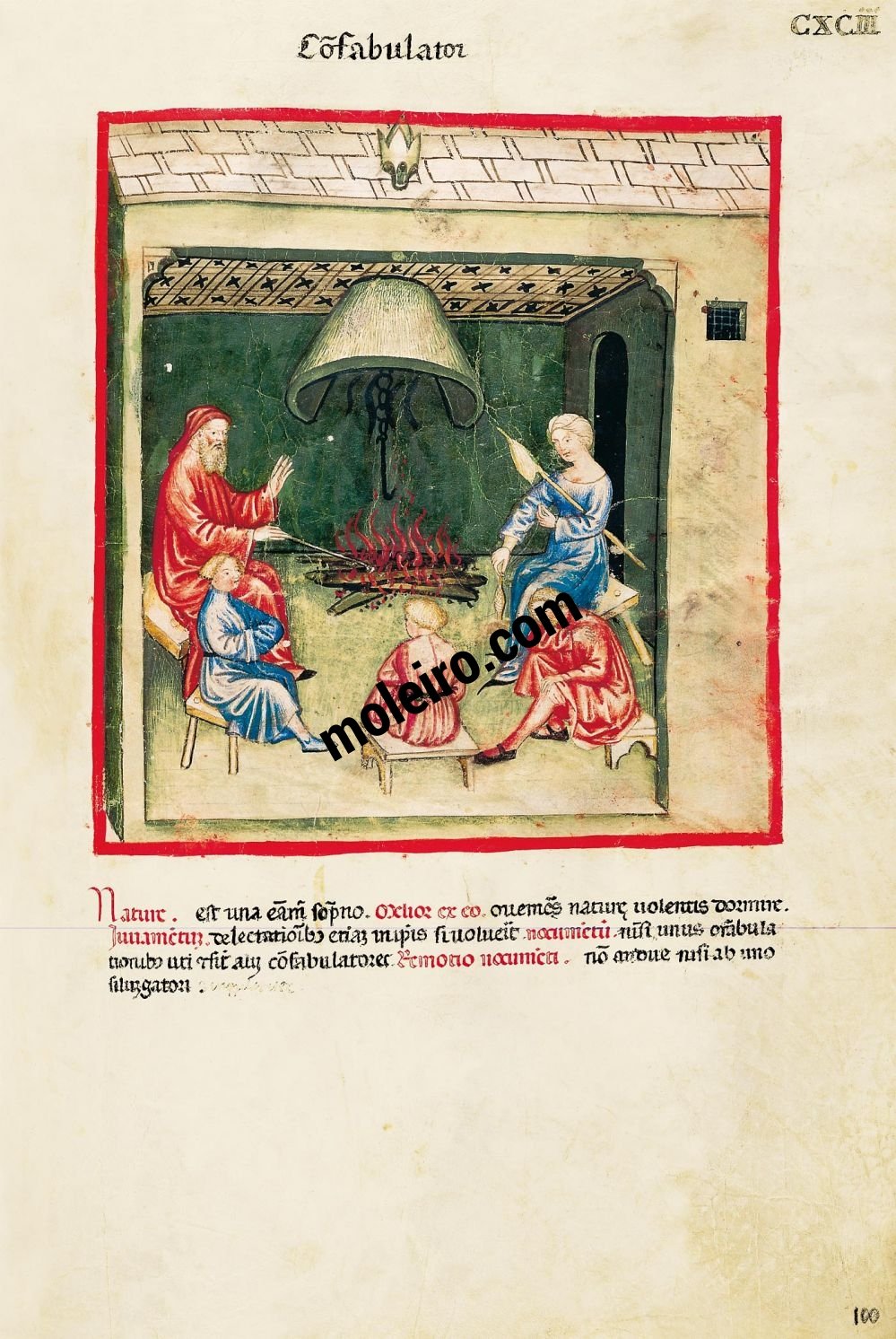 Theatrum Sanitatis f. CXCIII, Erzhler
