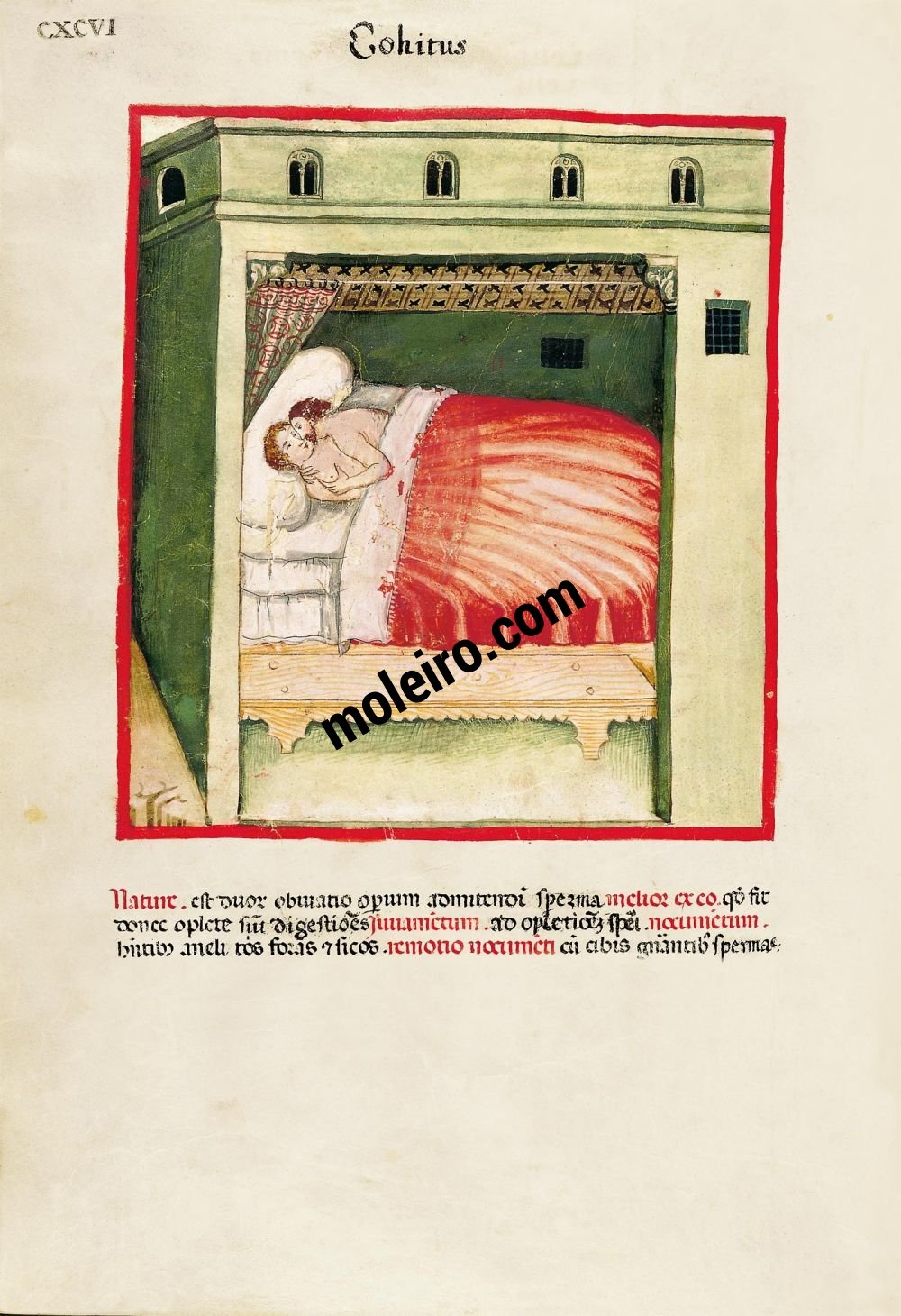 Theatrum Sanitatis f. CXCVI, Intercourse