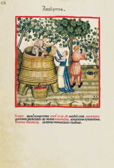 Theatrum Sanitatis Theatrum Sanitatis