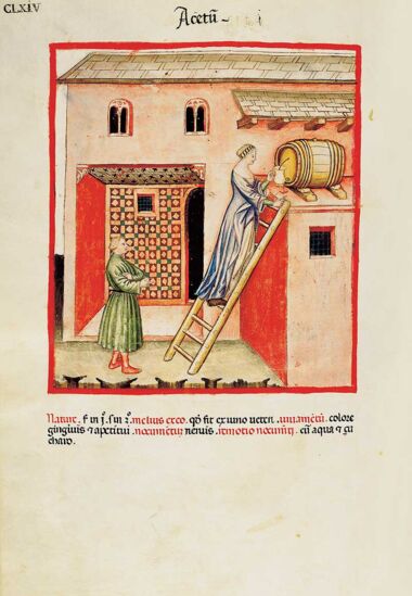 Theatrum Sanitatis Theatrum Sanitatis