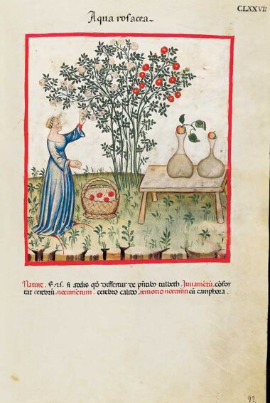 Theatrum Sanitatis Theatrum Sanitatis