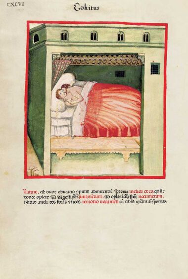 Theatrum Sanitatis Theatrum Sanitatis