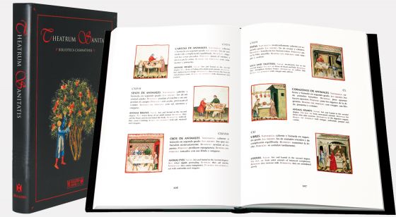 Theatrum Sanitatis