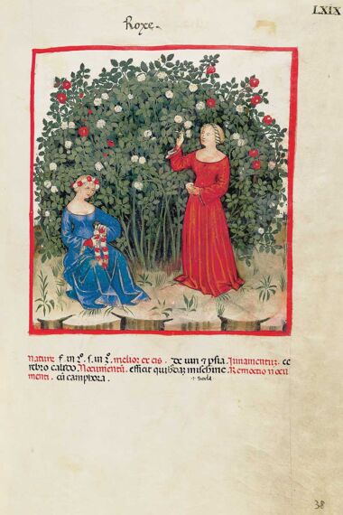 Theatrum Sanitatis Theatrum Sanitatis