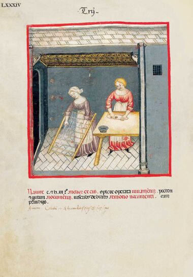 Theatrum Sanitatis Theatrum Sanitatis