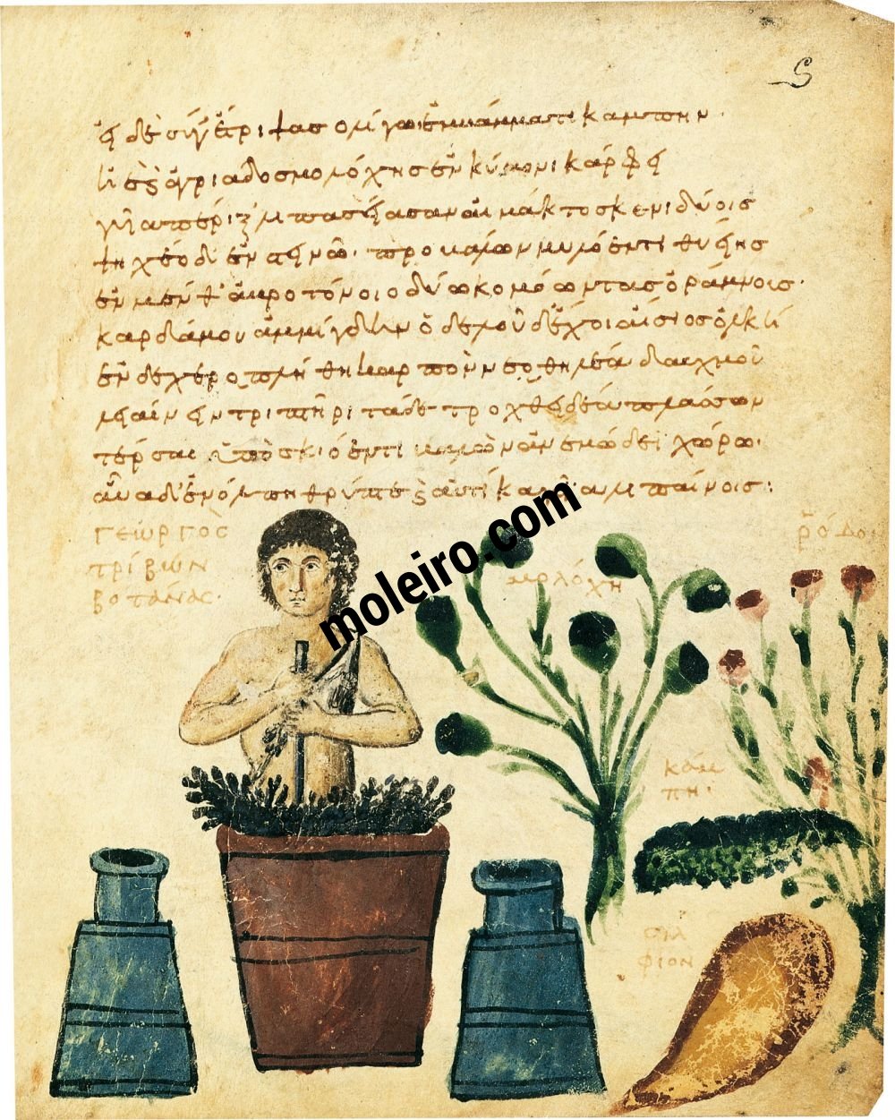 Theriaka and Alexipharmaka by Nicander folio 5r