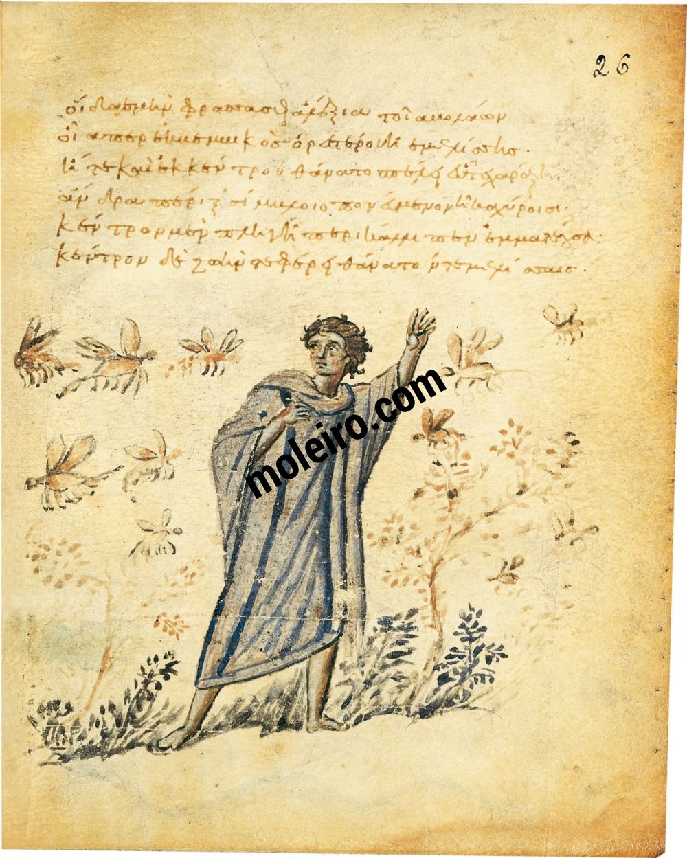 Theriaka und Alexipharmaka f. 26r