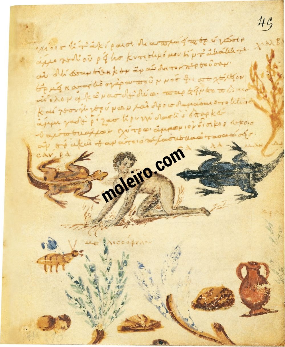 Theriaka e Alexipharmaka, di Nicandro folio 45r