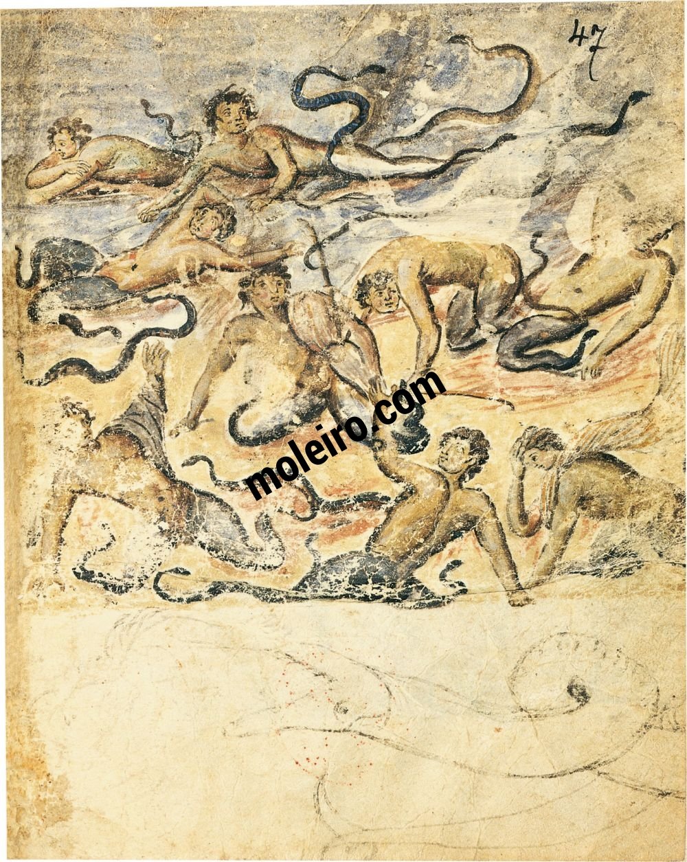 Theriaka e Alexipharmaka, di Nicandro folio 47r