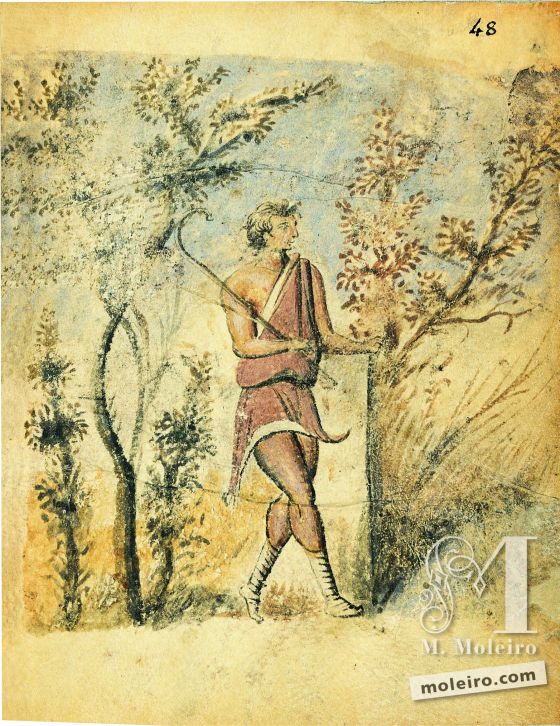 Theriaka e Alexipharmaka, di Nicandro folio 48r