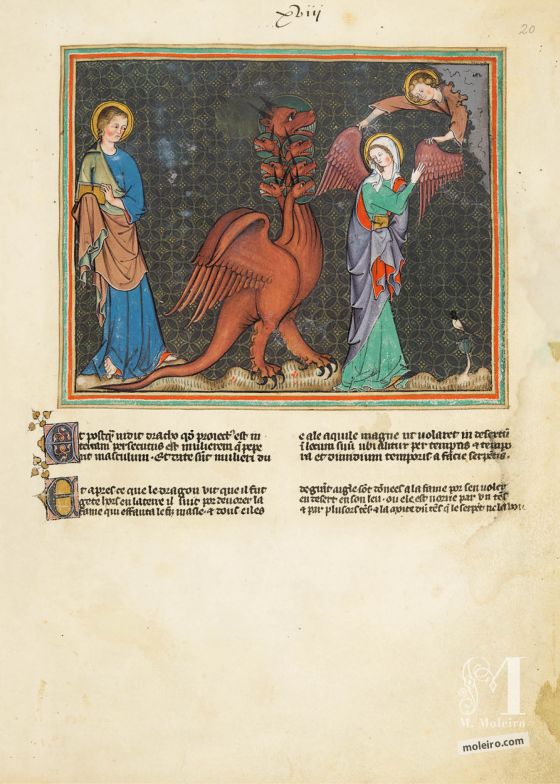 Apocalipsis de Val-Dieu f. 20r · El Dragón persigue a la Mujer