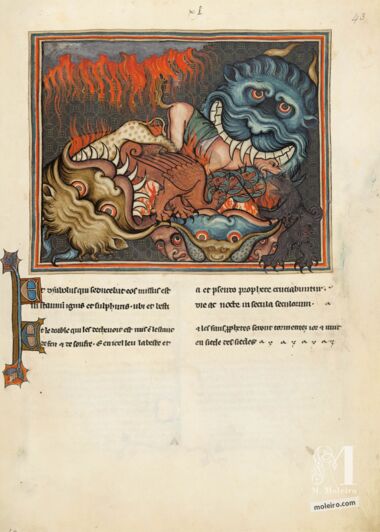 Val-Dieu Apocalypse The British Library, London