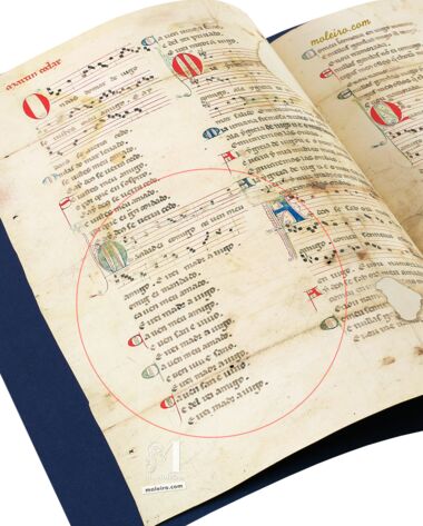 Vindel Parchment The Morgan Library & Museum, New York Vindel Parchment The Morgan Library & Museum, New York