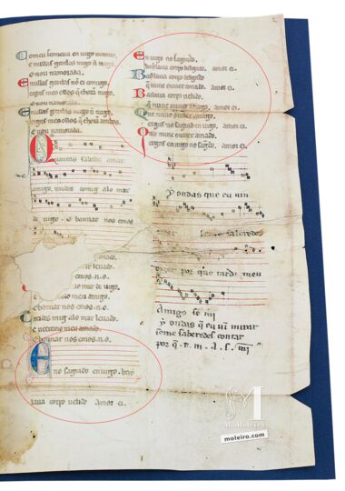 Vindel Parchment The Morgan Library & Museum, New York Vindel Parchment The Morgan Library & Museum, New York