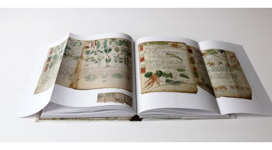voynich manuscript yale press voynich manuscript yale press
