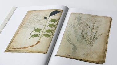 El Manuscrito Voynich La verdad y toda la verdad sobre el manuscrito Voynich:
