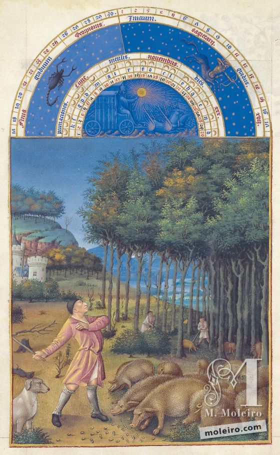 As Très Riches Heures do Duque de Berry f. 11v