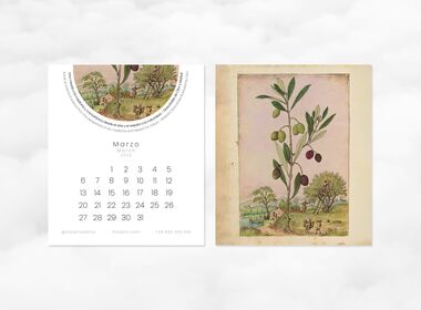 Moleiro-Kalender 2023 Tischkalender im CD-Format (12 Seiten zu 14x12 cm)