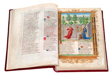 Le Roman de la Rose de Franois I The Morgan Library & Museum, New York