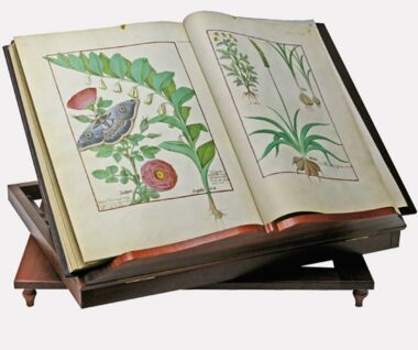 Revolving wood bookrest