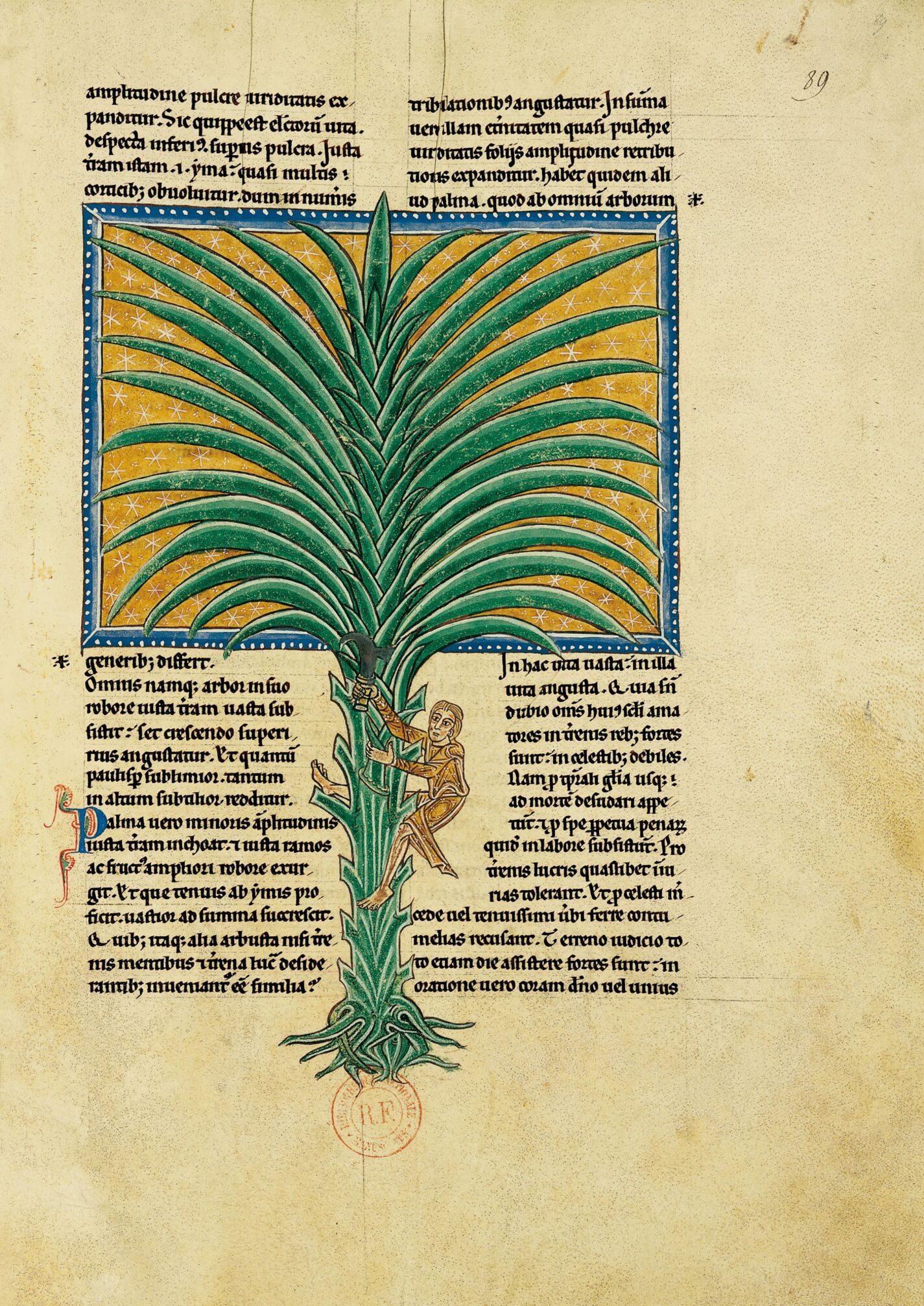 f. 89r, la palmera de los justos