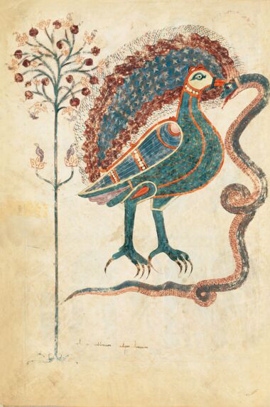 Beato de Liébana, códice del Monasterio de San Salvador de Tábara, Zamora Catedral de Girona