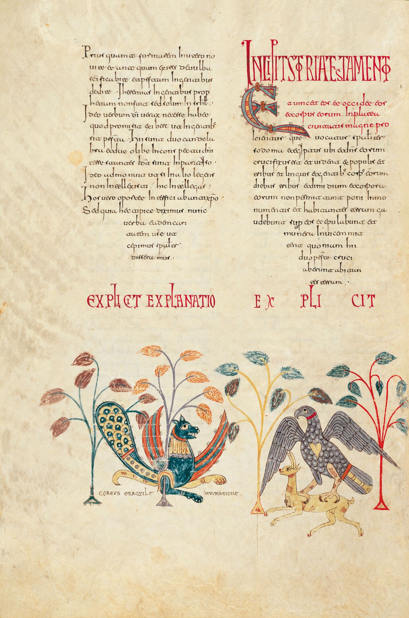 f. 165v, Miniatura decorativa: Coreus y el águila cazando la gacela
