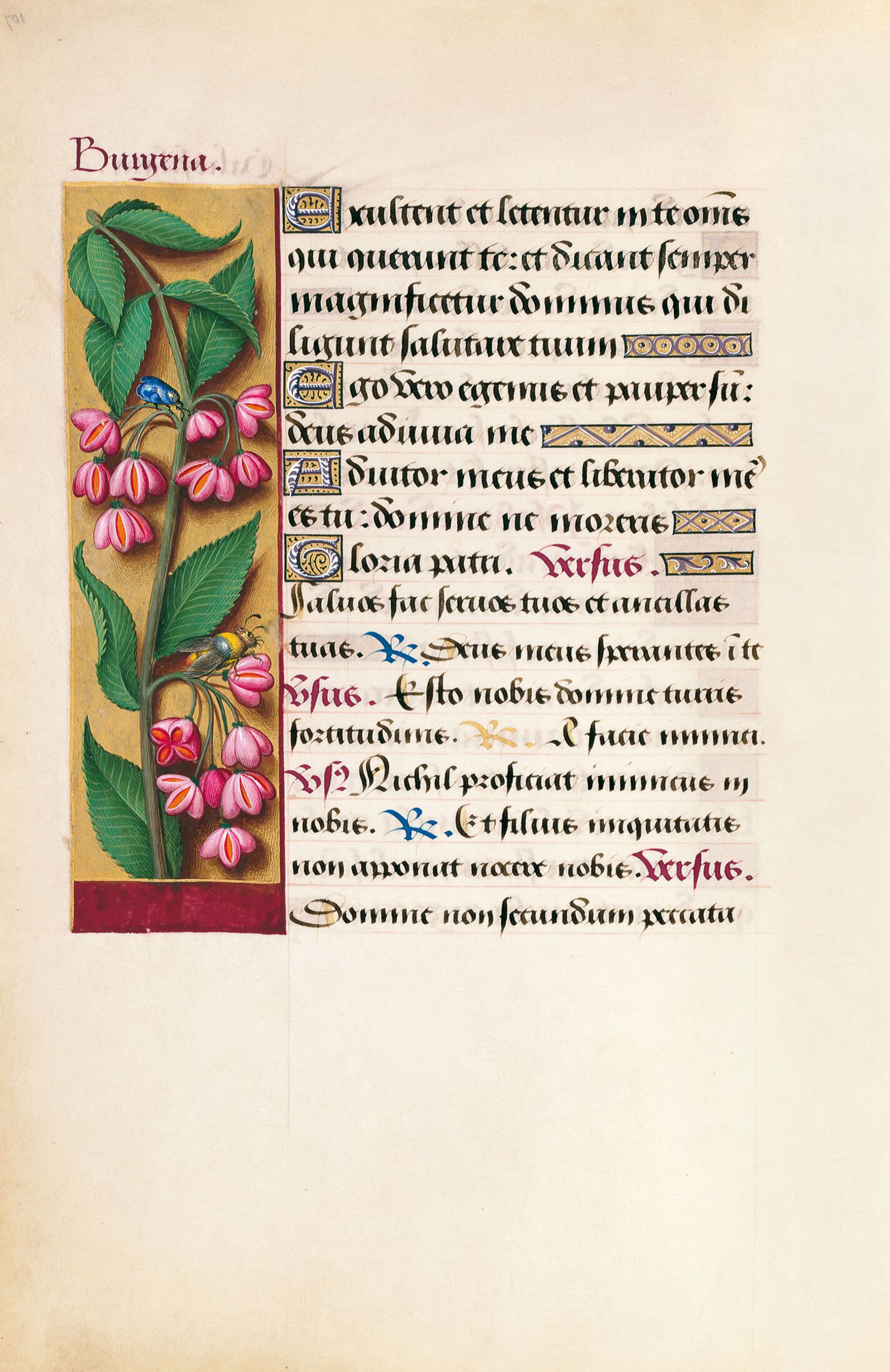 f. 107v, Bonetero