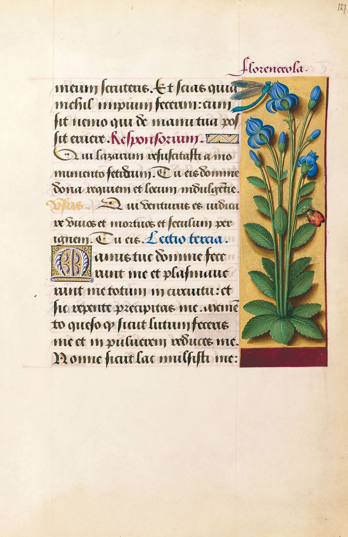 f. 127r, Florenceola