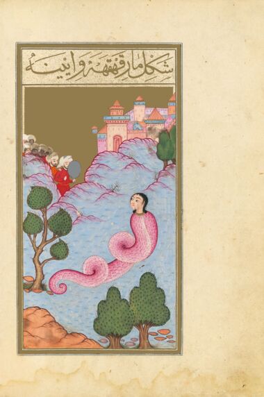 The Book of Felicity (Matali’ al-saadet) Bibliothèque nationale de France