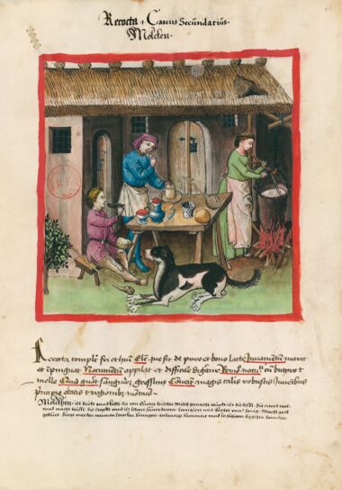 Tacuinum Sanitatis Bibliothèque nationale de France, Paris