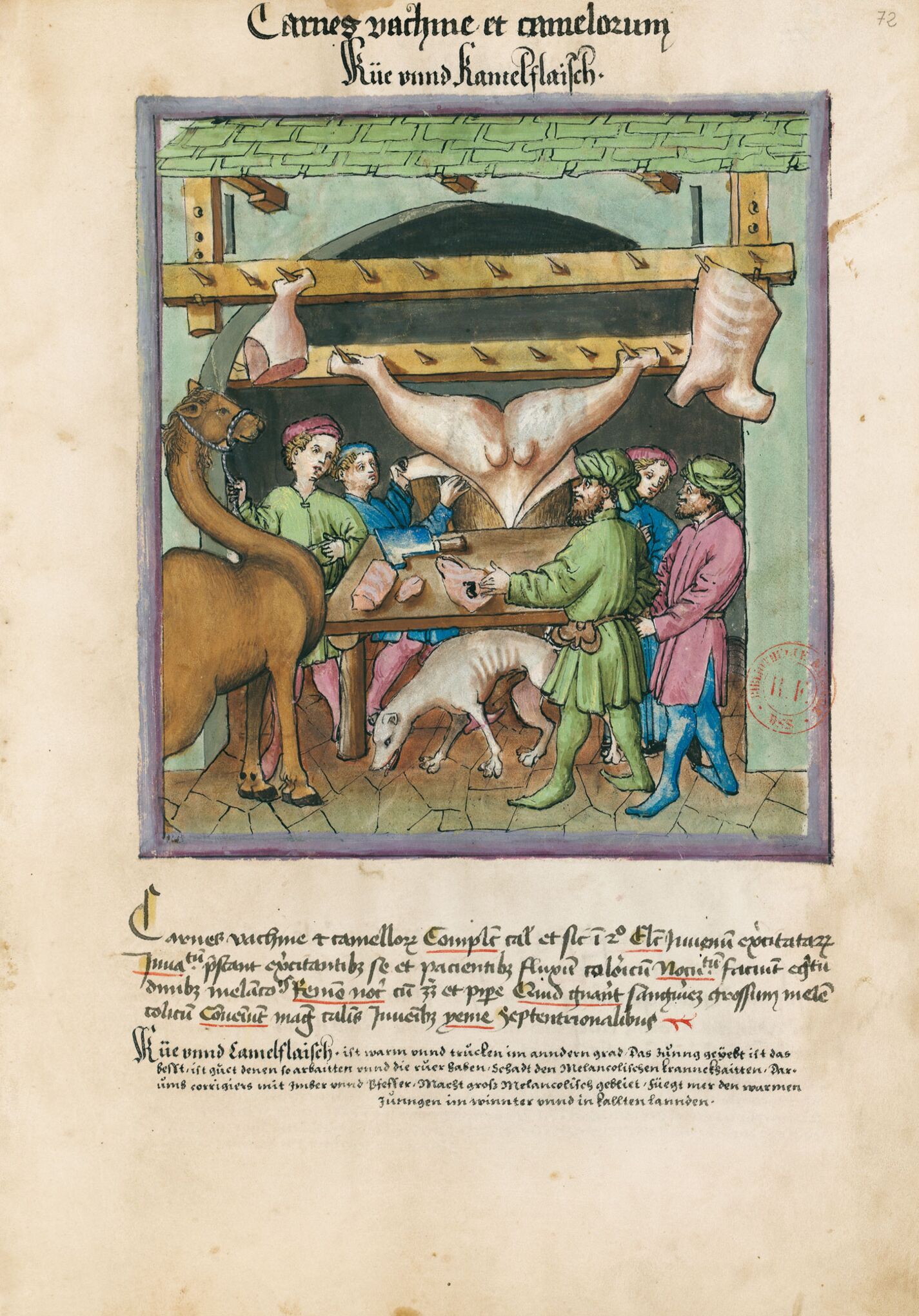 f. 72r, Carne de vaca y de camello