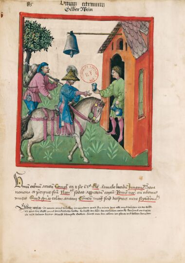 Tacuinum Sanitatis Bibliothèque nationale de France, Paris