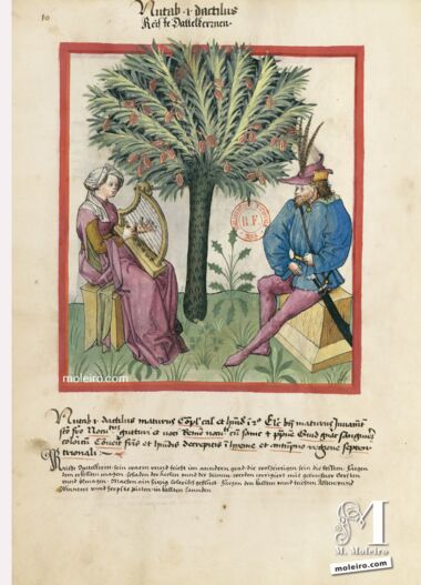 Tacuinum Sanitatis Bibliothèque nationale de France, Paris