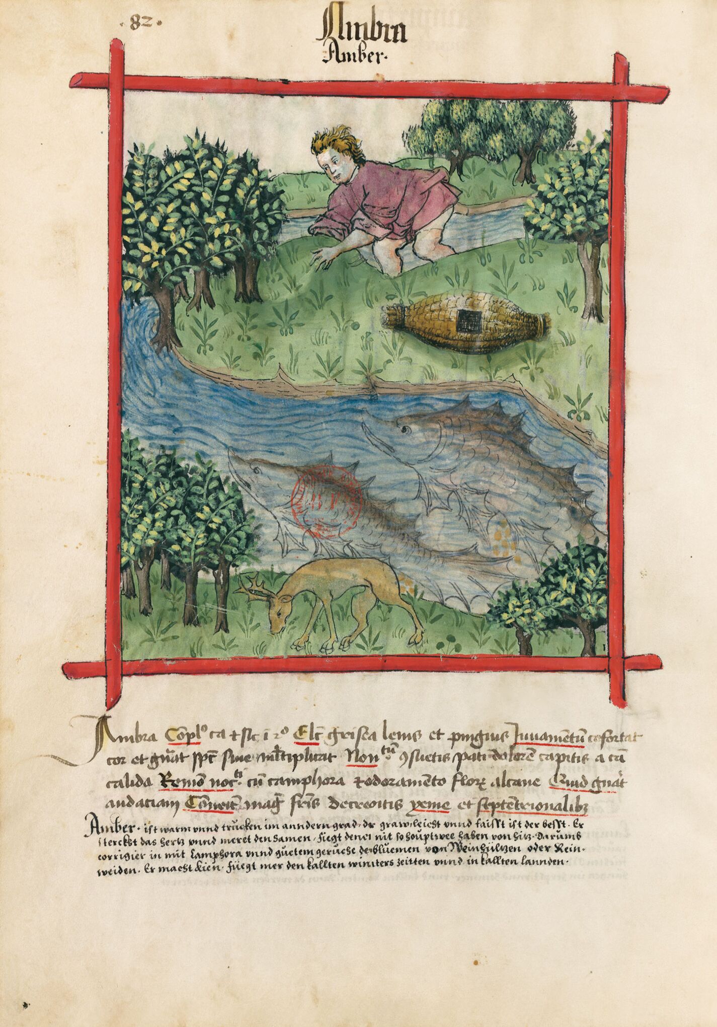 f. 82v, Ámbar