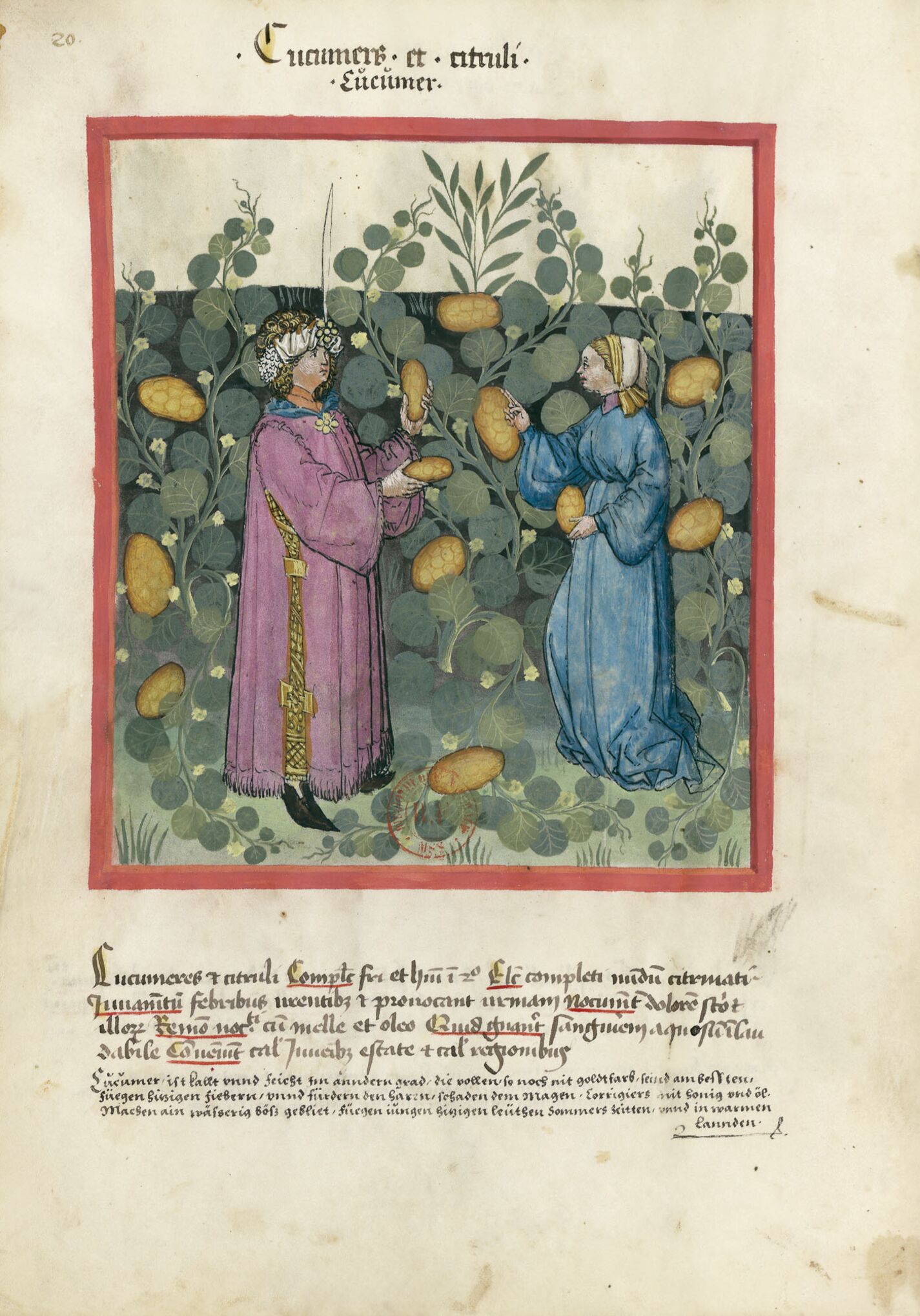 f. 20v, Pepinos y cohombros