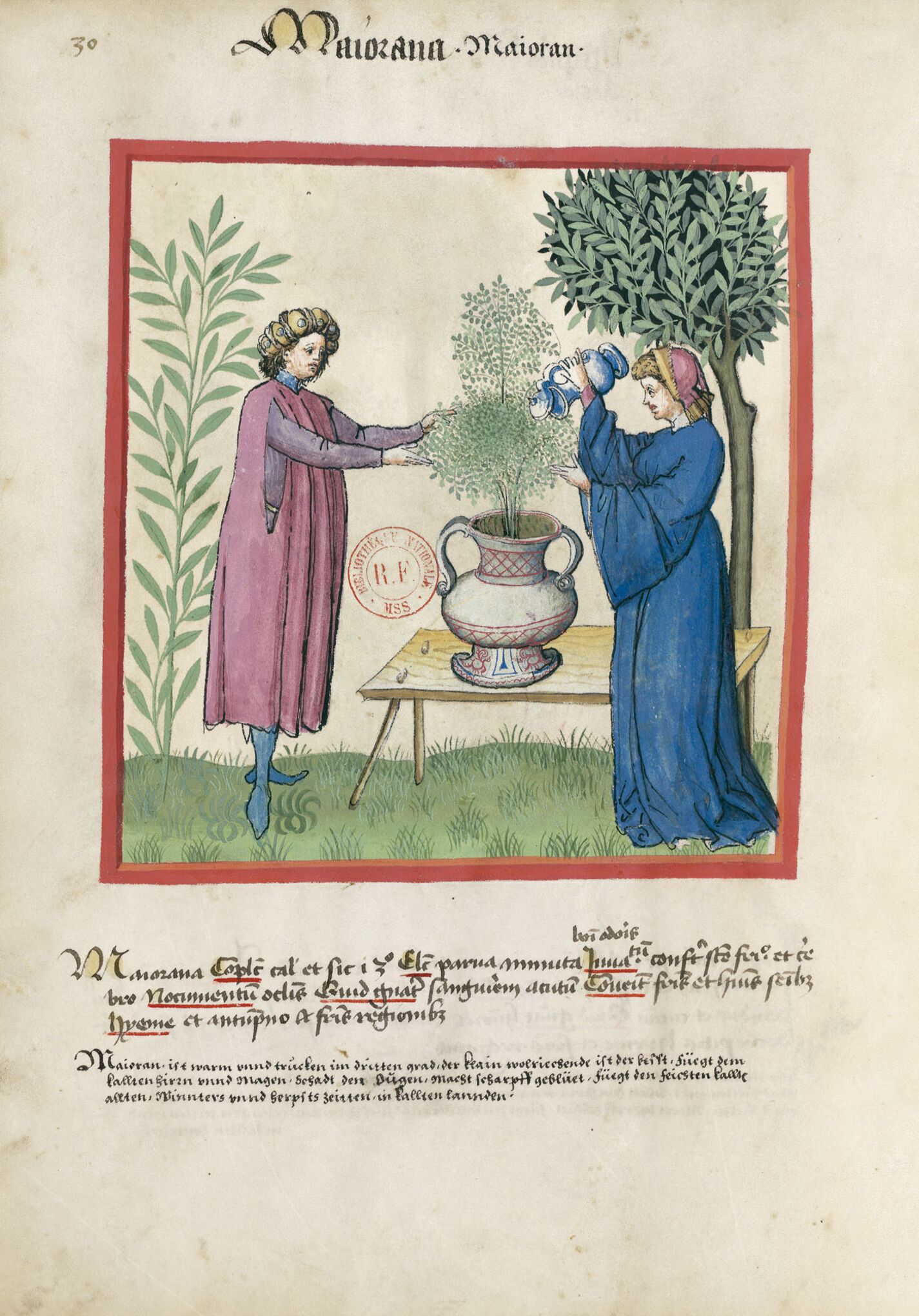 f. 30v, Mejorana