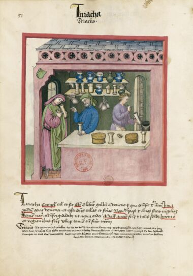 Tacuinum Sanitatis Bibliothèque nationale de France, Paris