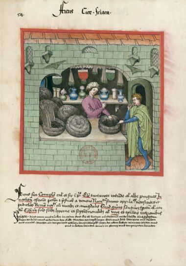 Tacuinum Sanitatis Bibliothèque nationale de France, Paris