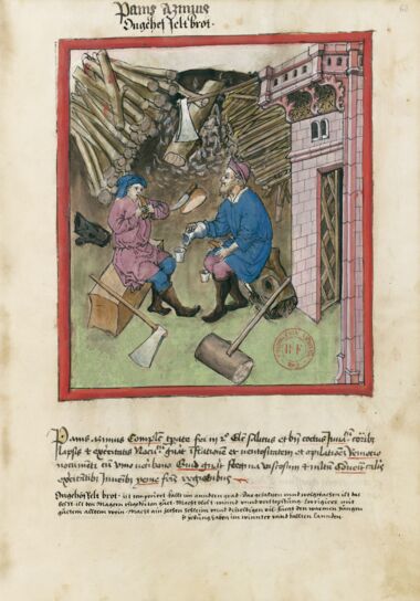 Tacuinum Sanitatis Bibliothèque nationale de France, Paris