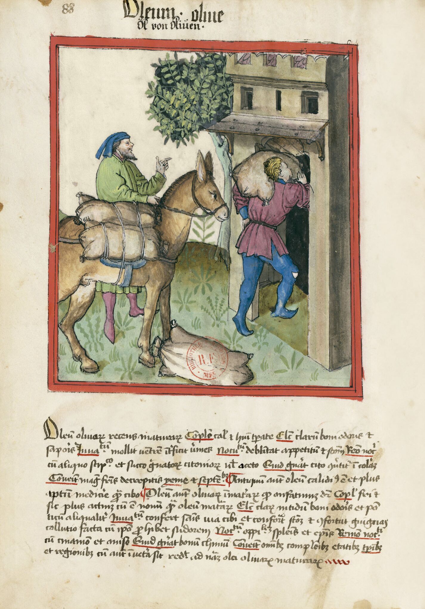 f. 88v, Aceite de oliva