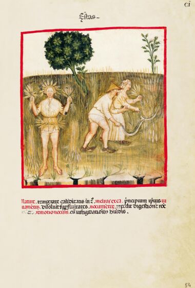 Theatrum Sanitatis Biblioteca Casanatense, Rome Theatrum Sanitatis Biblioteca Casanatense, Rome