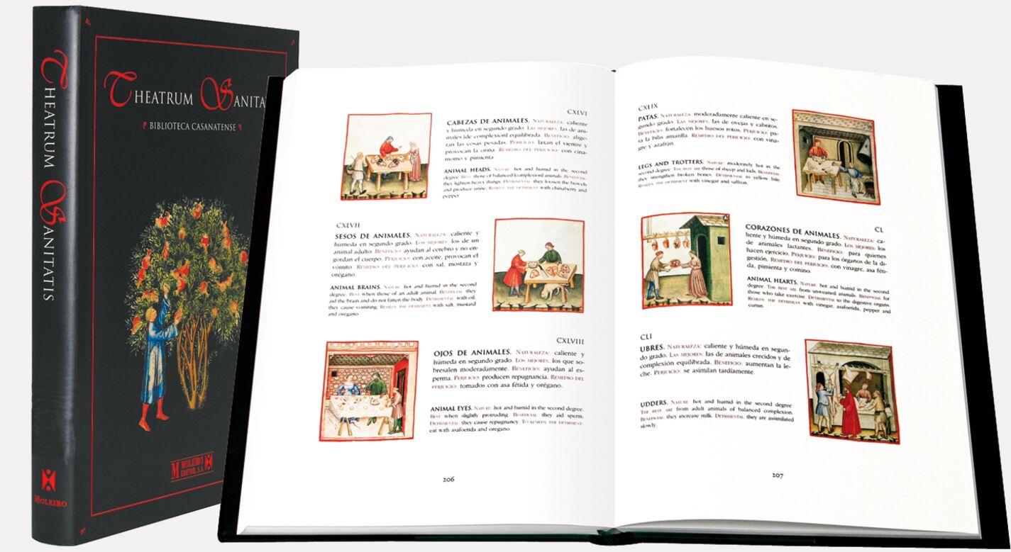 Presentación general del libro de arte Theatrum Sanitatis