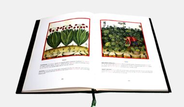 Theatrum Sanitatis Theatrum Sanitatis