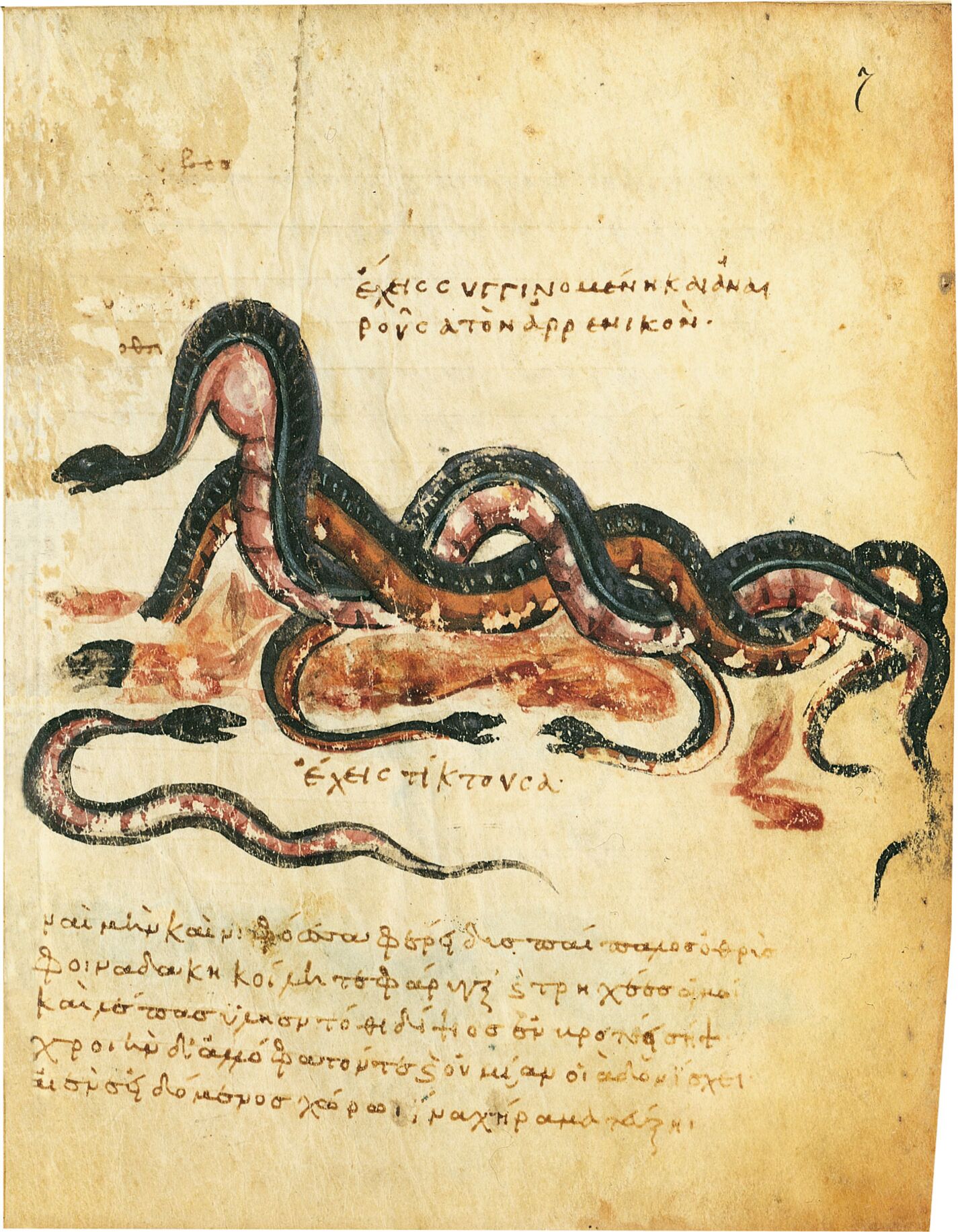 f. 7r