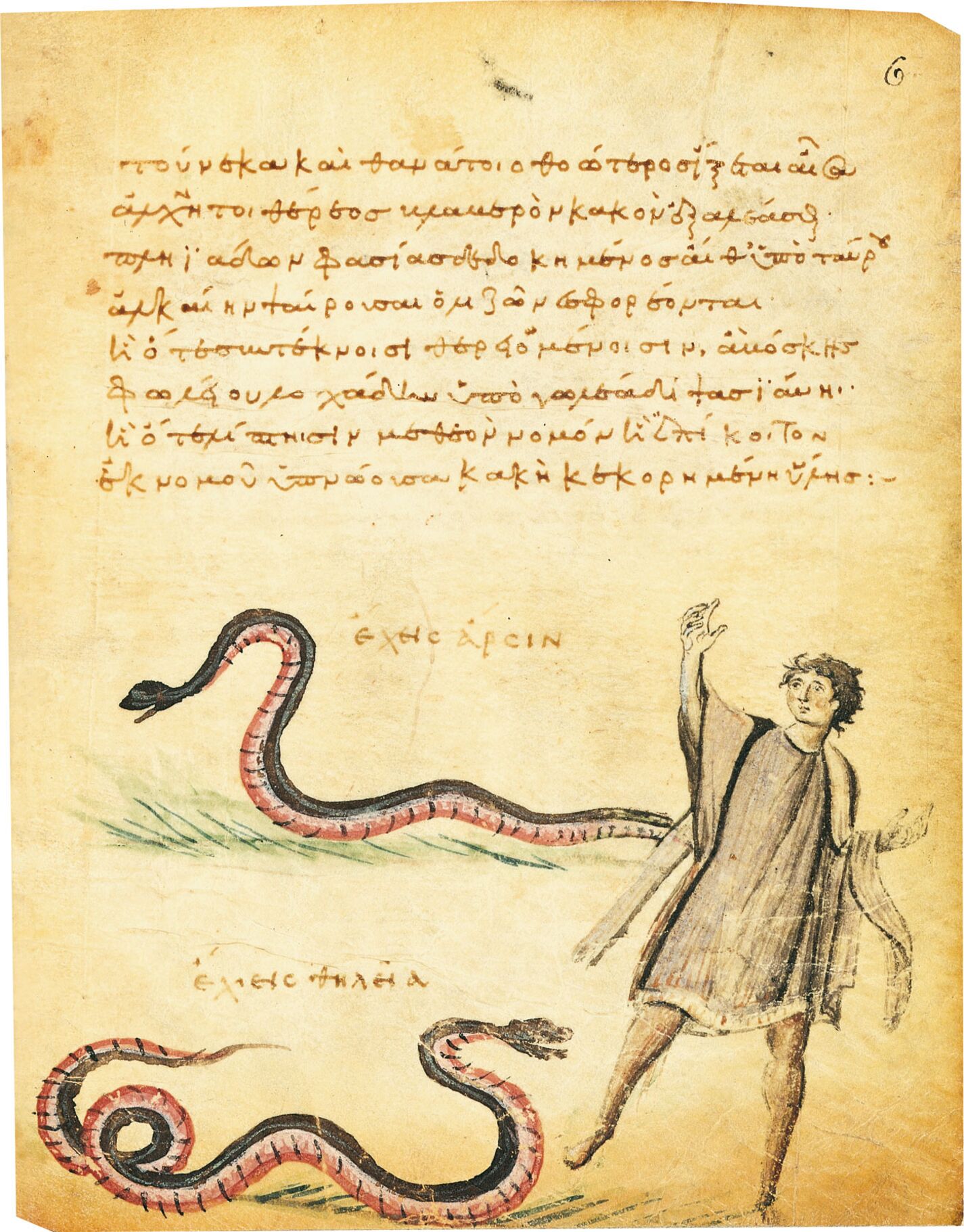 f. 6r