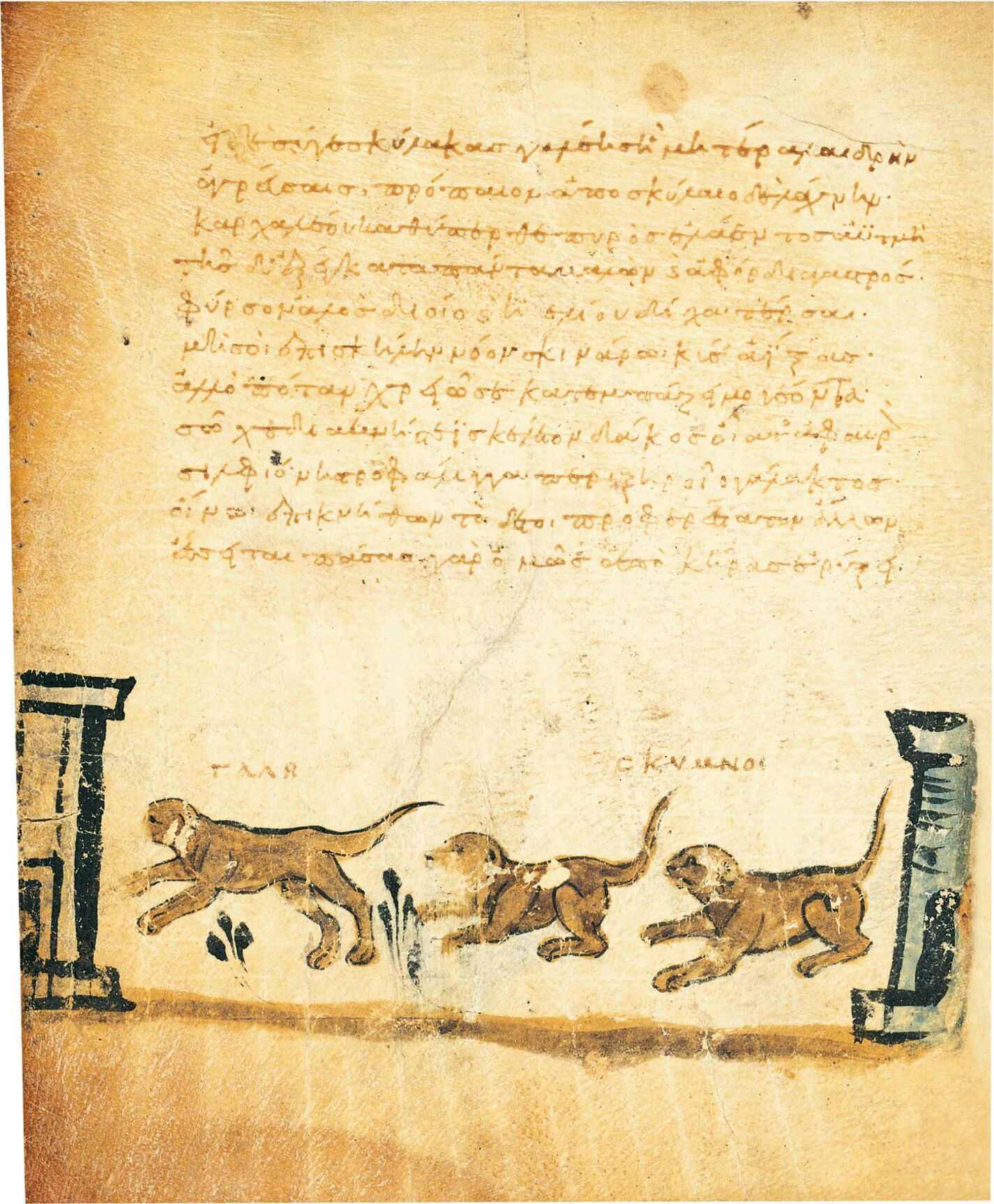 f. 21v