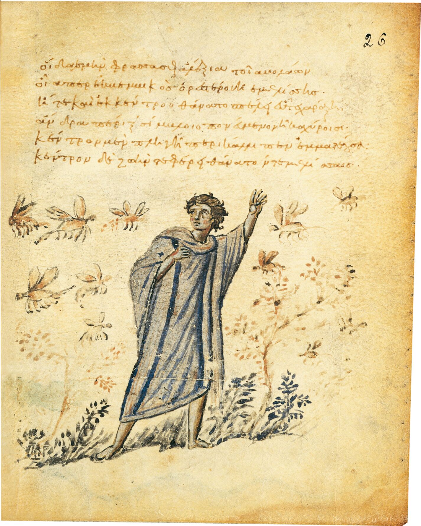 f. 26r