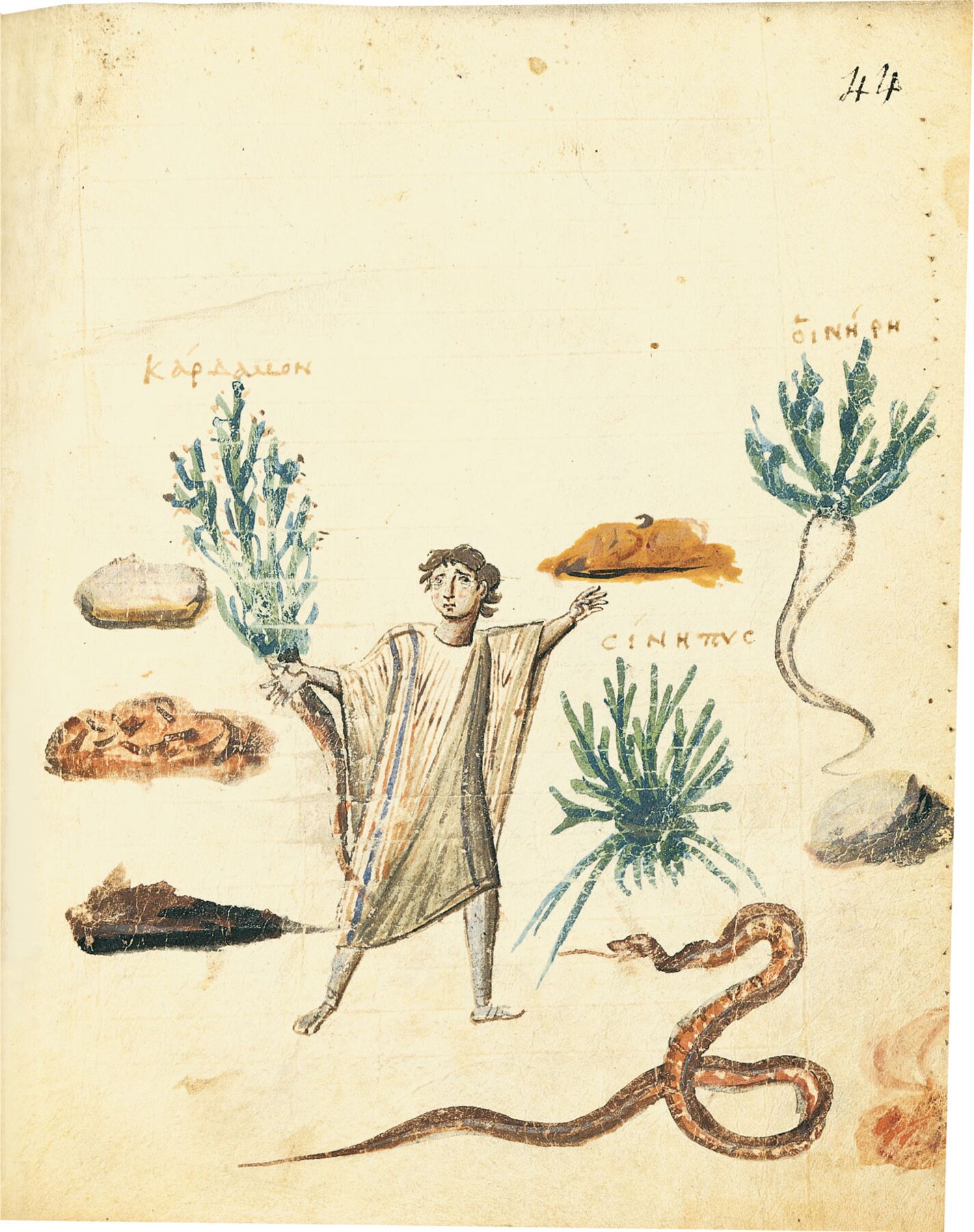 f. 44r